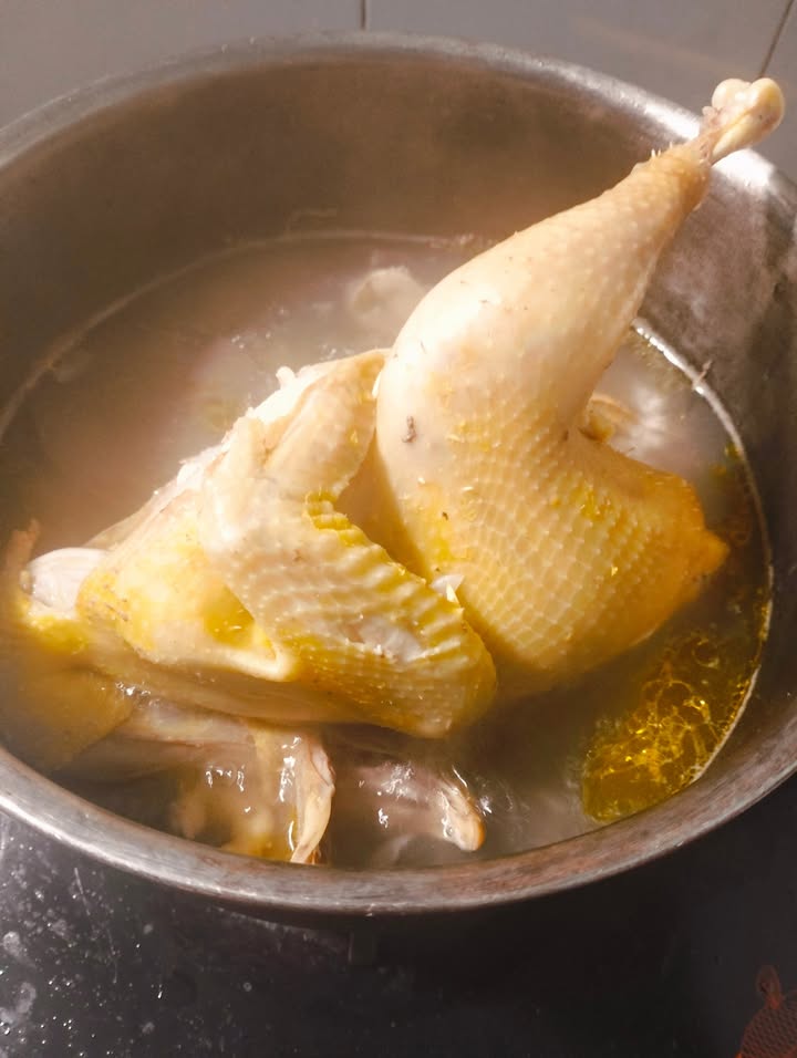 Đất nền Phú Trung, Phú Riềng 2300m² giá 1.2 tỷ - Đầu tư sinh lời ngay!