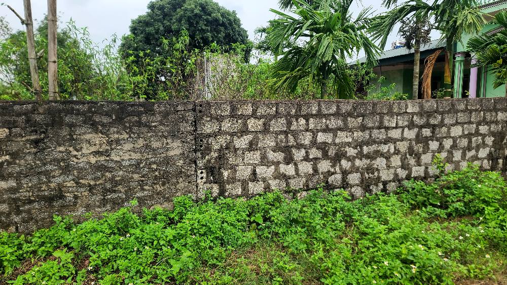 Đất nở hậu 115m² tại Phú Sơn, Bỉm Sơn - Giá chỉ 1 tỷ, đầu tư sinh lời!