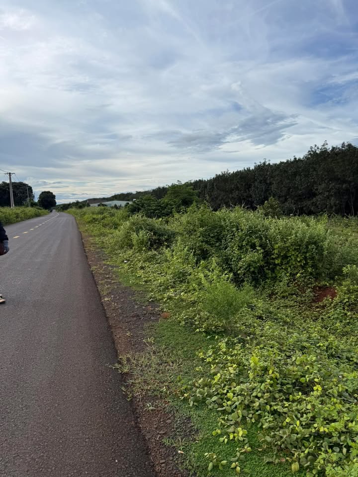 Đất nền đường Thanh Niên Đức Cơ 224m² giá chỉ 530 triệu - Cơ hội đầu tư tuyệt vời!