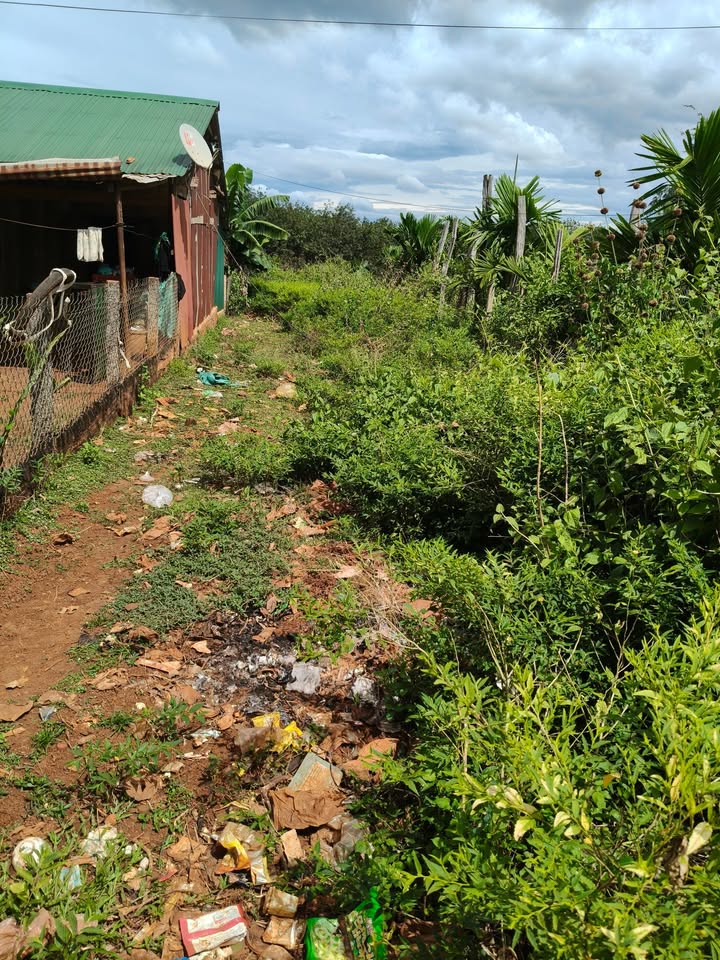 Đất nền 2 mặt tiền Đường Liên Xã Đức Cơ 225m² giá chỉ 350 triệu - Cơ hội đầu tư hấp dẫn!