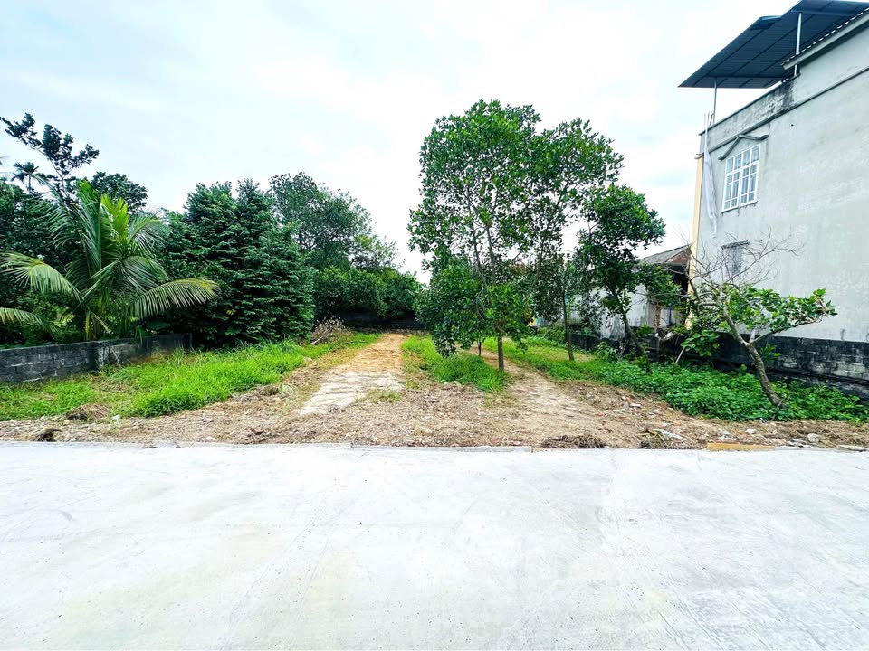 Đất nền Gò Cáo, Thủy Xuân Tiên 504m² giá chỉ từ 10 tỷ - Đầu tư sinh lời ngay!