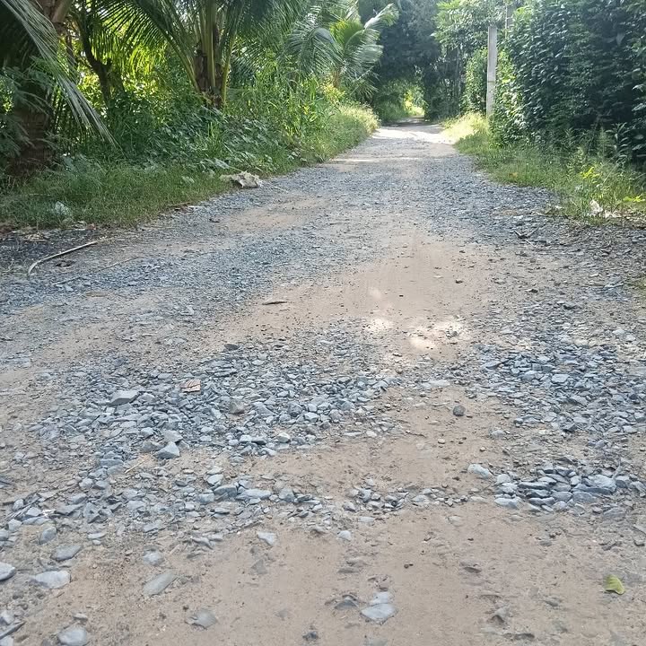 Đất nền Tân Thanh Giồng Trôm 80m² giá 270 triệu - Cơ hội đầu tư tốt!