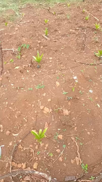 Đất Ea Ning Cư Kuin 3600m² giá 400 triệu - Gần khu dân cư sầm uất!