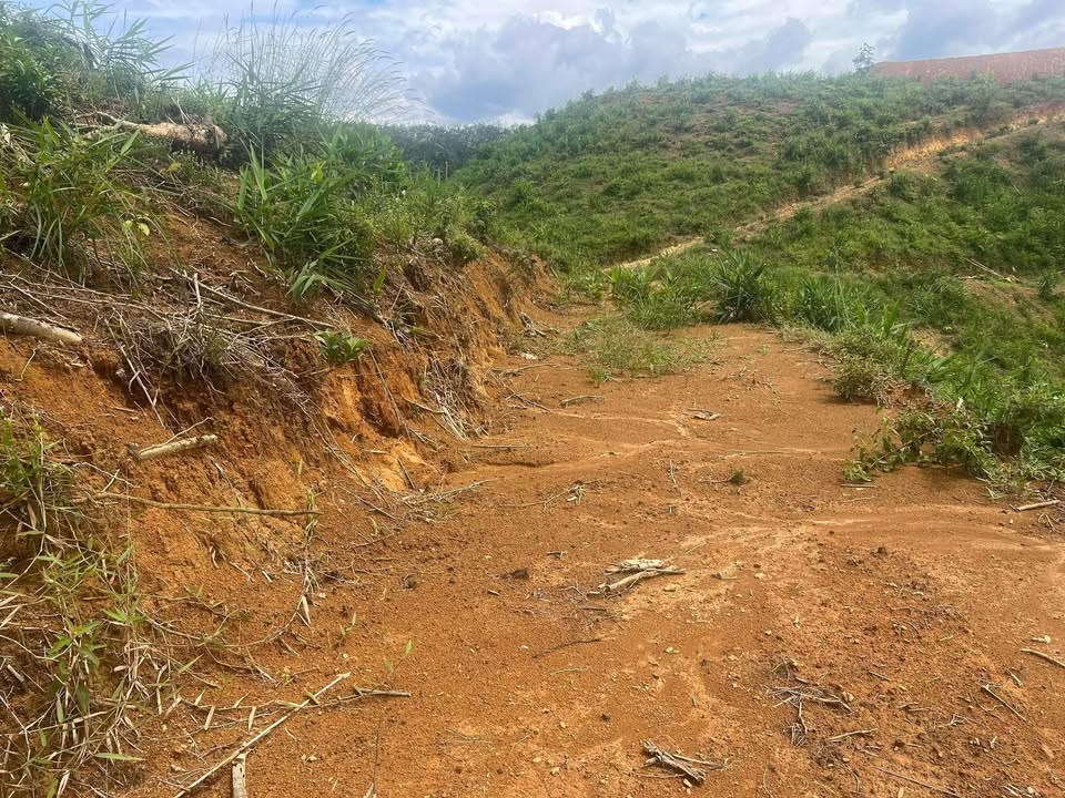 Đất nền 1,8ha xã Bảo Lâm, giá 234 triệu - Sổ đỏ chính chủ!