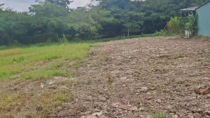 Đất nền Phú Phong, Châu Thành 140m² giá 375 triệu - Đầu tư sinh lời ngay!