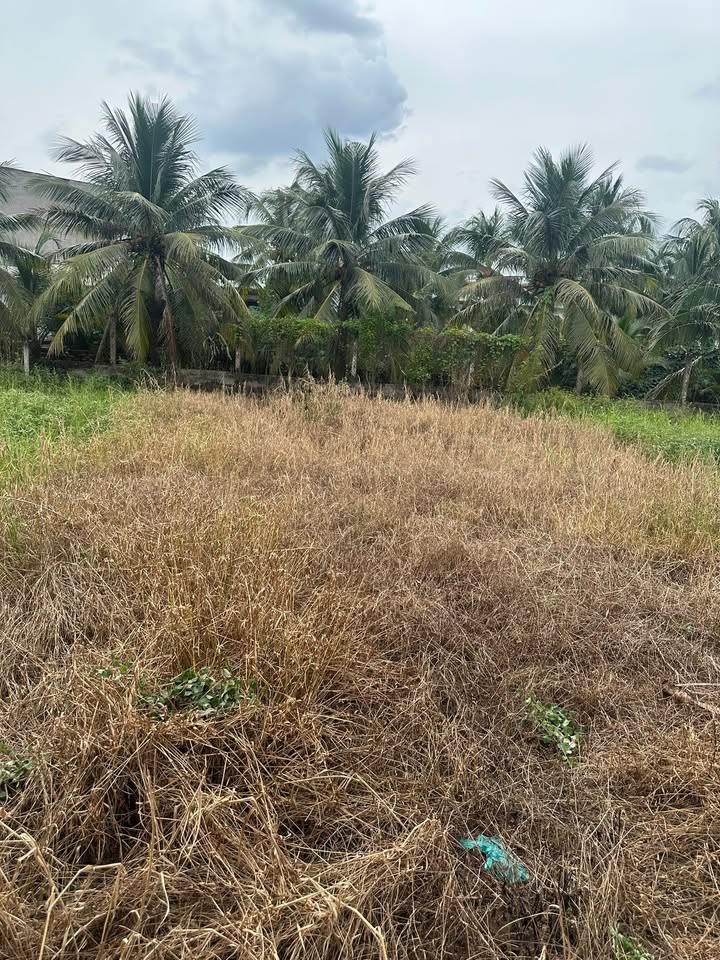 Đất nền Tân Mỹ Chánh 74m² giá chỉ 499 triệu - Chính chủ cần bán gấp!