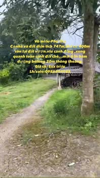 Đất nền Võ Miếu - Phú Thọ 747m² giá chỉ 500 triệu - Đầu tư sinh lời ngay!