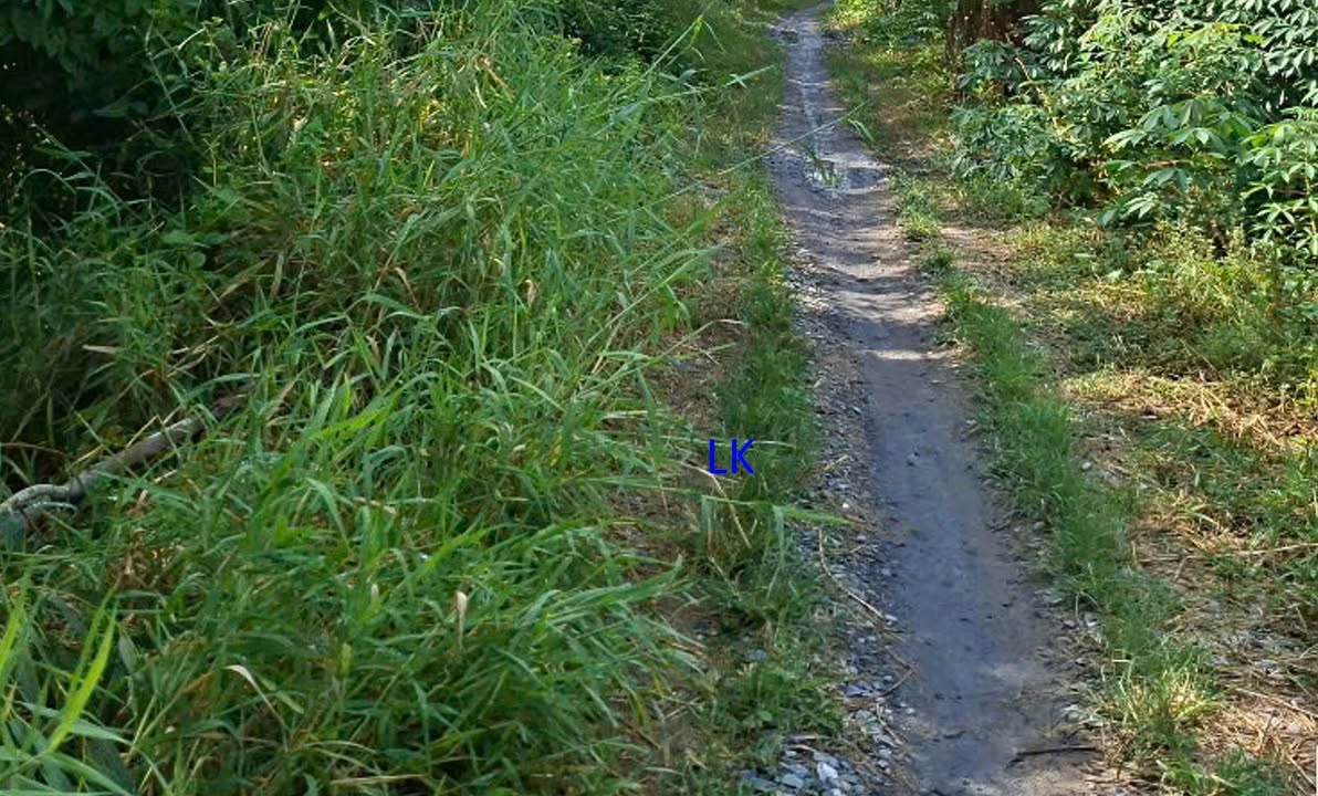 Bán đất lúa 6.500m² tại xã Ba Sao, giá 1.625 tỷ - Đất sản xuất nông nghiệp tốt