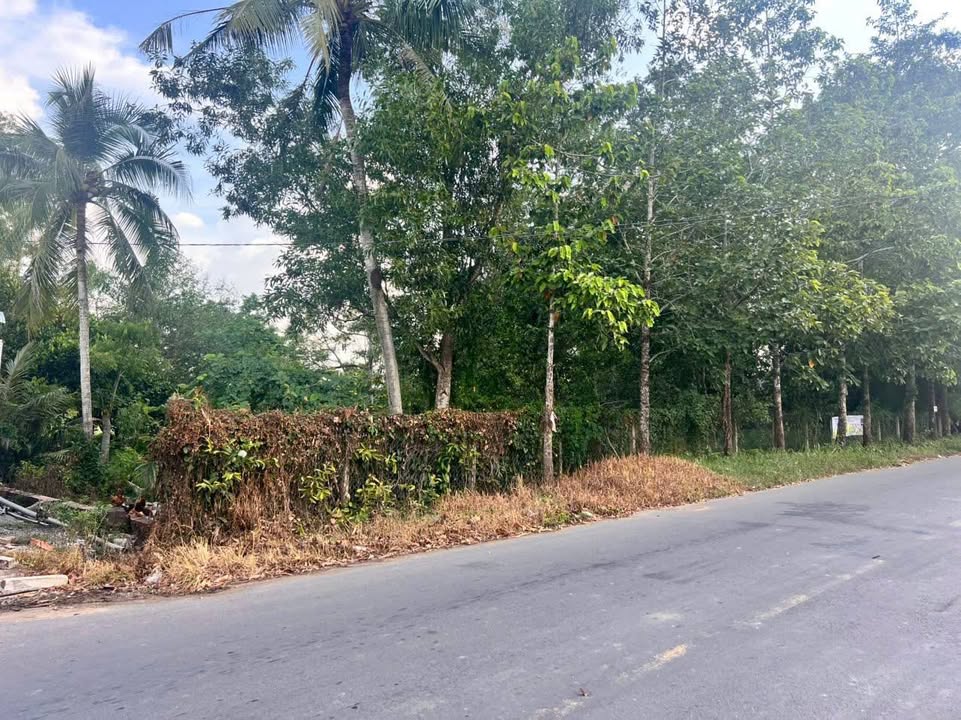 Đất thổ cư Phước Bình A, Gò Dầu, Tây Ninh 245m² giá 1.45 tỷ - Kinh doanh thuận lợi!