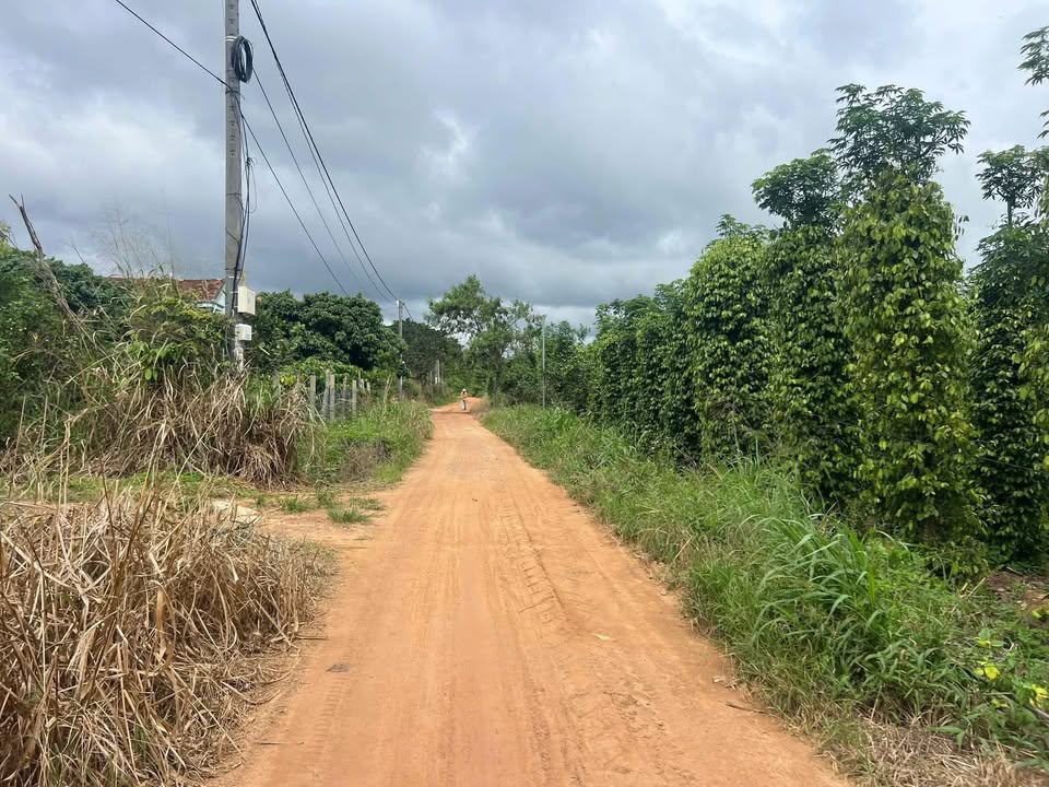 Đất nền Cư Ni, Ea Kar 8000m² giá 1.3 tỷ - Đầu tư sinh lời ngay!