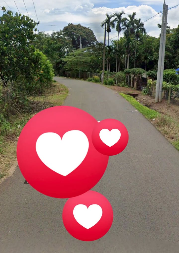 Đất nền 280m² Bình Lộc - Sổ riêng chính chủ chỉ 1 tỷ - Đầu tư sinh lời ngay!