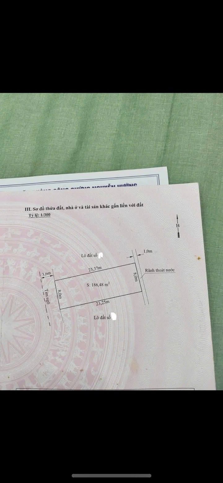 Đất nền Kiến Thụy Hải Phòng 186m² giá chỉ 4.65 tỷ - Sổ hồng chính chủ