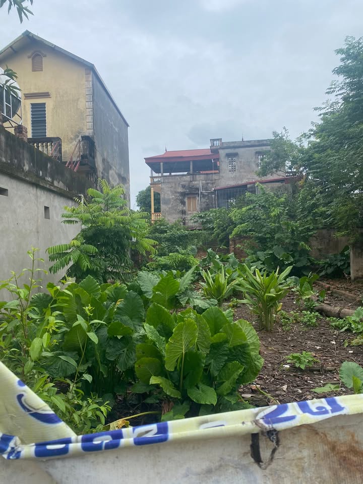 Đất nền Đặng Xá Gia Lâm 58m² giá 3 tỷ - Đầu tư sinh lời ngay!