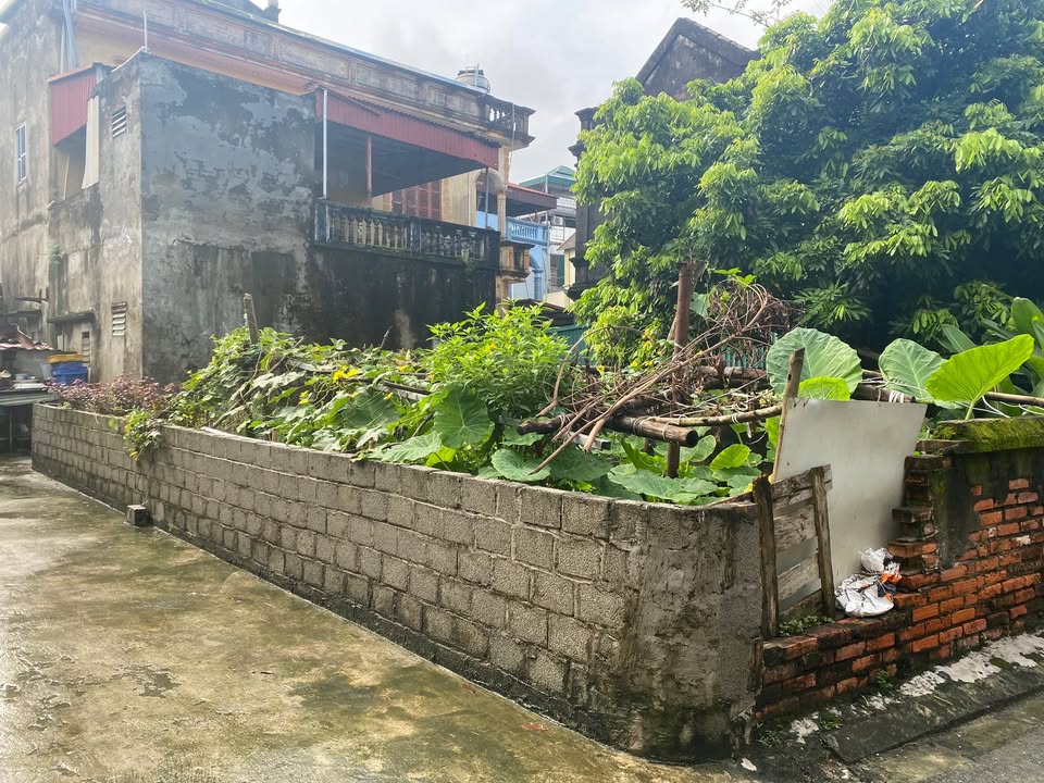 Đất nền Kiêu Kỵ, Gia Lâm 52m² giá 3 tỷ - Cách VinOcean Park chỉ 100m!