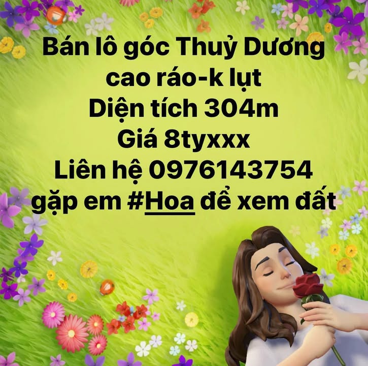Đất nền góc Thủy Dương 304m² giá 8 tỷ - Cao ráo không lụt!