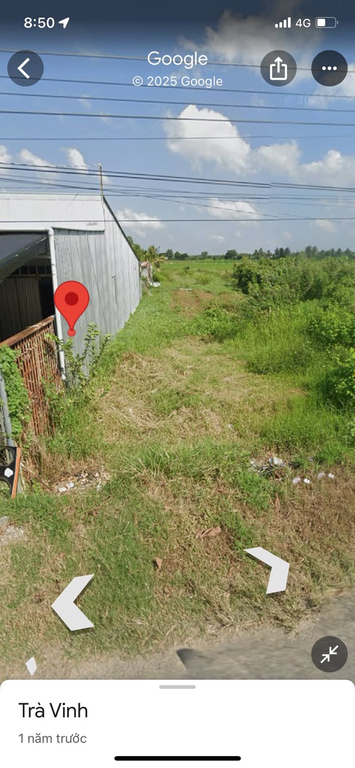 Đất nền ấp Ô Tưng, Châu Điền, Cầu Kè 2440m² - Mặt tiền nhựa giá thỏa thuận!