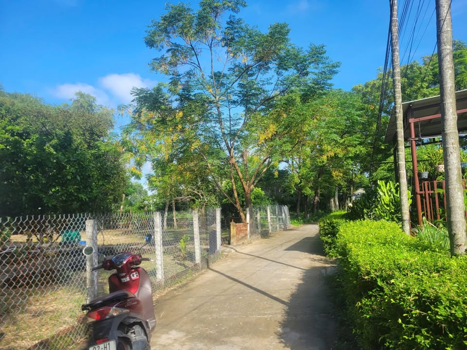 Đất nền Điện Nam Bắc 130m² giá 1.6 tỷ - Đường bê tông ô tô thông thoáng