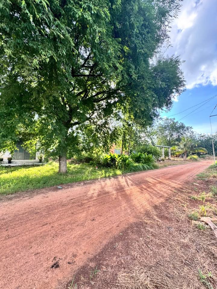 Nhà cấp 4 500m² xã Minh Thạnh, Dầu Tiếng - Giá chỉ 800 triệu VND!