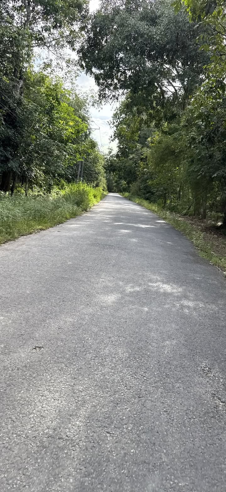 Đất nền Trung tâm Nhựa Định An, Dầu Tiếng 300m² giá 600 triệu - Cơ hội đầu tư tuyệt vời!