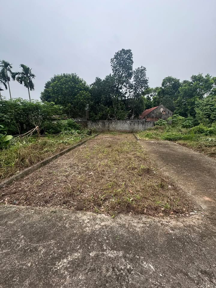 Đất nền Hòa Mạc, Duy Tiên 55m² giá 900 triệu - Đầu tư sinh lời ngay!