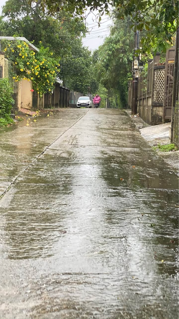 Đất nền Trường An, Thuận Hóa 100m² giá 1.7 tỷ - Cơ hội đầu tư hấp dẫn!