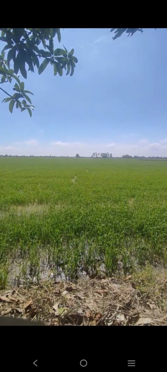 Farm 17 công lớn Gáo Giồng 22032m² giá chỉ 2.155 tỷ - Đầu tư sinh lời nhanh chóng!