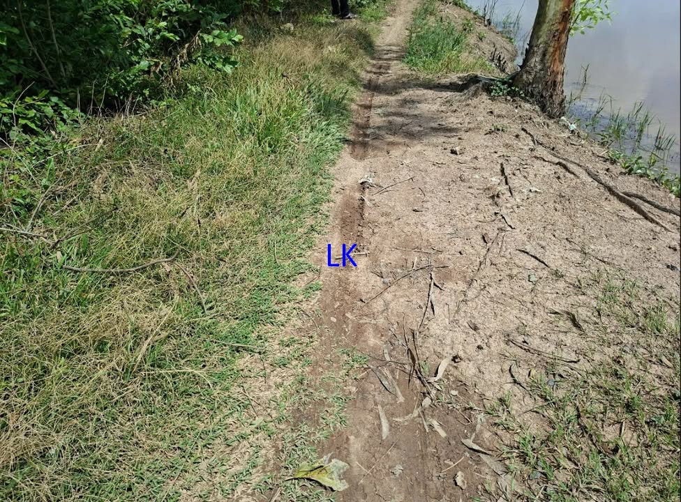 Đất nông nghiệp 14.000m² Tân Hội Trung, Đồng Tháp - Giá chỉ 2.52 tỷ, thương lượng ngay!