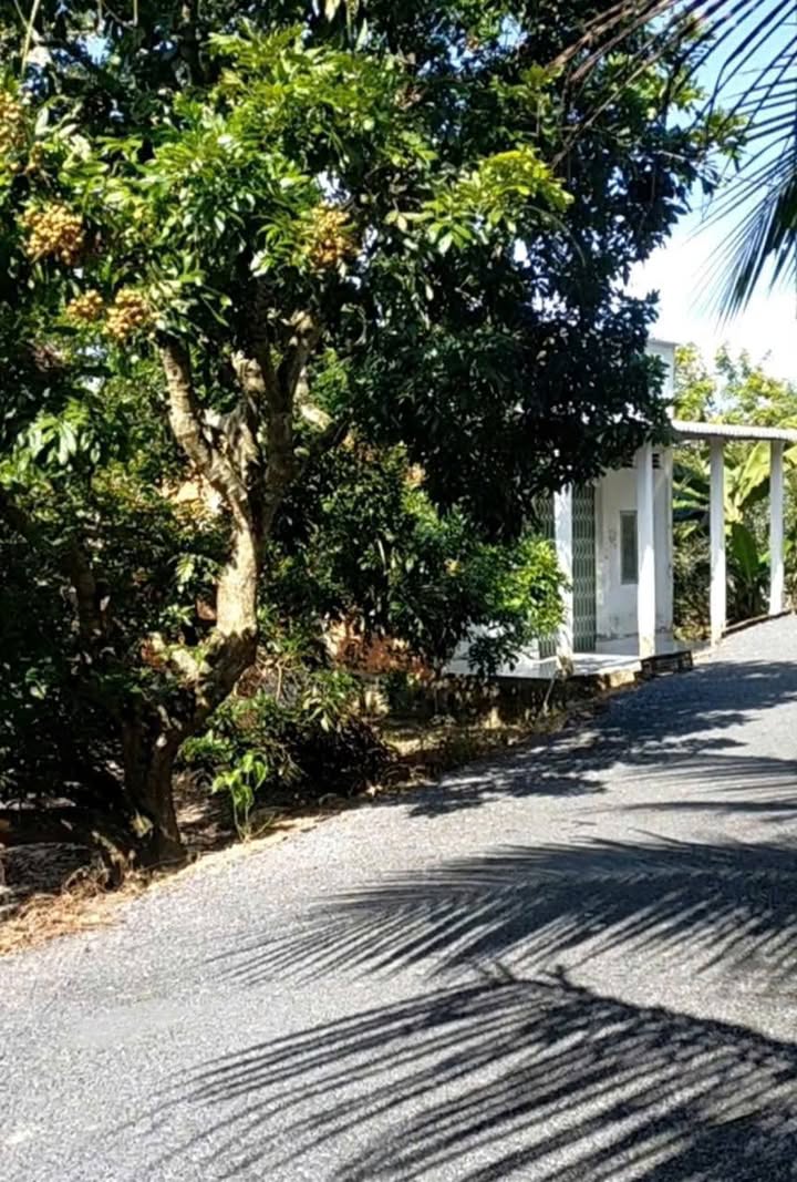 Đất thổ cư và vườn Mỹ Hiệp, 1247m², giá 1.05 tỷ - Cơ hội đầu tư tuyệt vời!