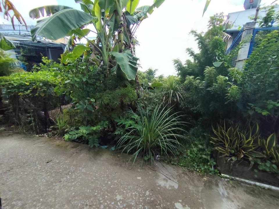 Đất nền đường Chí Sinh, Hưng Phú, 135m² giá 790 triệu - Pháp lý rõ ràng!