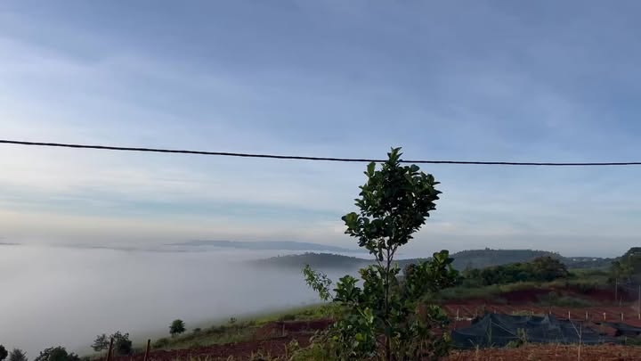 Đất nền 5000m² tại xã Nam N'jang, Đắk Song - Giá chỉ 500 triệu VND!