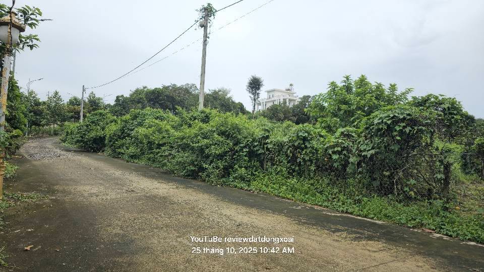 Đất thổ cư Tà Băng Tiến Thành 750m² giá 2.25 tỷ - Phù hợp xây nhà vườn lý tưởng!