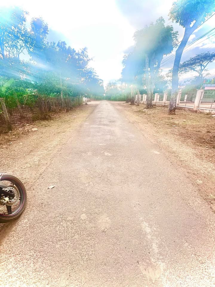 Bán đất mặt tiền Ỷ Lan, Pleiku 130m² giá 799 triệu - Đầu tư sinh lời lý tưởng!