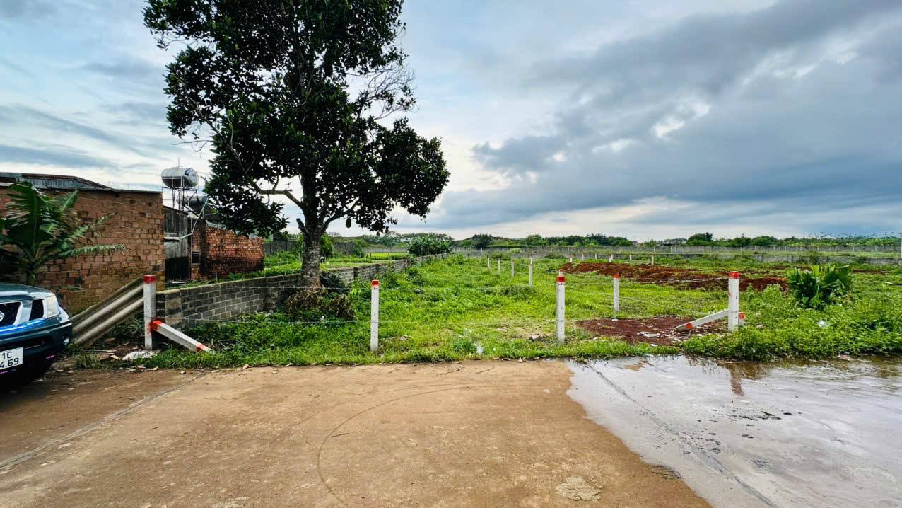 Đất nền siêu đẹp 590m² tại hẻm 123 Lê Đại Hành, Pleiku - Giá chỉ 1 tỷ VND!