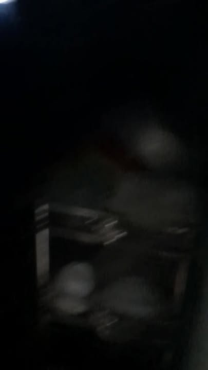 Nhà cấp 4 liền kề tại Bình Khánh, Cần Giờ 175m² giá 2.5 tỷ - Sẵn sàng dọn vào ở!