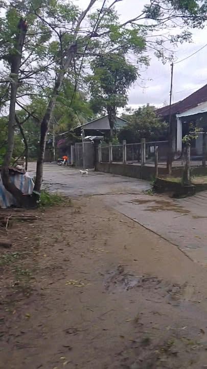 Đất nền Nam Phước Duy Xuyên 264m² giá 370 triệu - Sổ hồng trao tay!