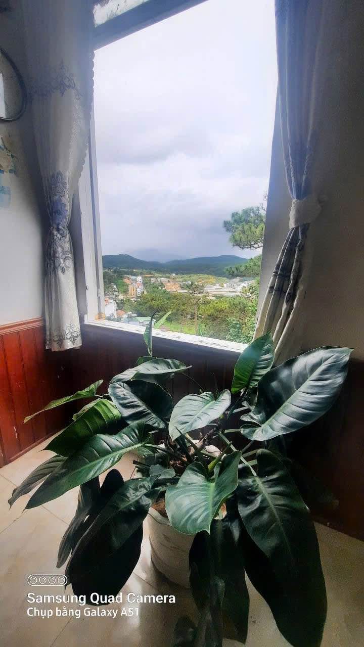 Nhà Ngô Thì Sỹ Đà Lạt 90m² giá 1.7 tỷ - Sổ nông nghiệp chính chủ!