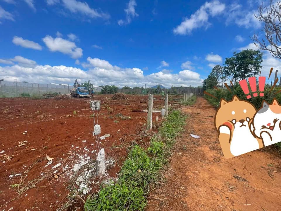 Đất thổ cư Hẻm 126 Phạm Hùng 140m² giá tốt - Cơ hội đầu tư sinh lời!