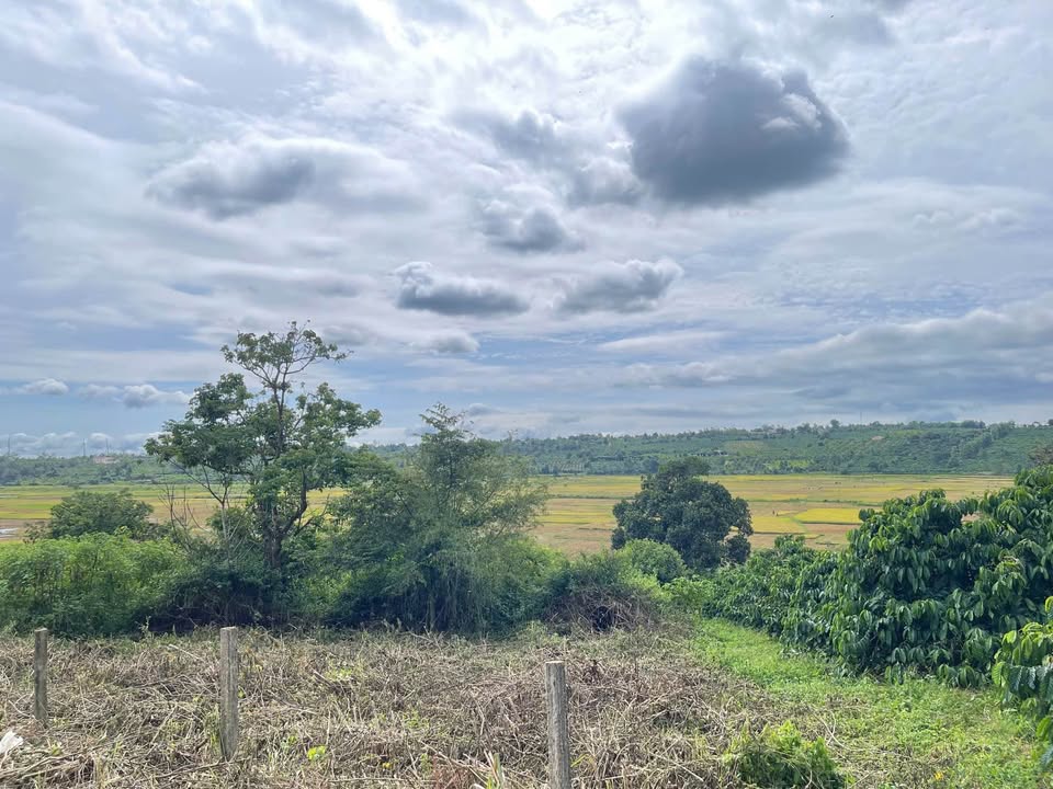 Đất hẻm Lý Chính Thắng, Pleiku 360m² giá chưa tới 1 tỷ - View ruộng thoáng mát!