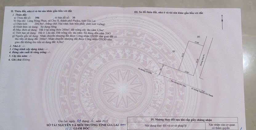 Đất mặt tiền Bùi Viện, Pleiku 205m² giá 1 tỷ - Cơ hội đầu tư hấp dẫn!