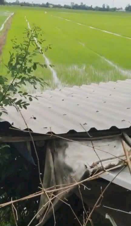 Đất ruộng Tân Hội Trung, Cao Lãnh 9000m² chỉ 150 triệu - Cơ hội đầu tư tiềm năng!