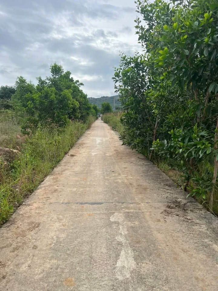 Đất thổ cư thôn 4 Hòa Bình, TP Kon Tum 2220m² giá chỉ 500 triệu - Cơ hội đầu tư sinh lời!