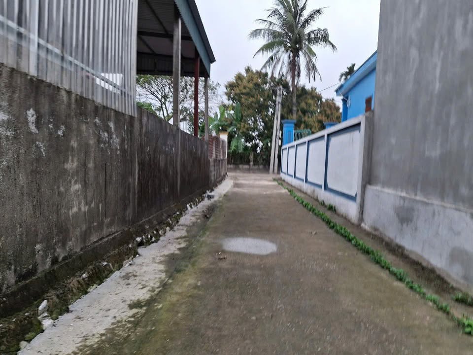 Đất nền Nga Tân 119m² giá chỉ 300 triệu - Đường to thông thoáng!