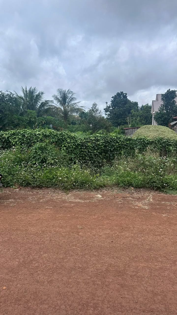 Đất thổ cư Ea Drông Buôn Hồ 324m² giá 499 triệu - Vị trí đắc địa gần đập Buôn Klat!