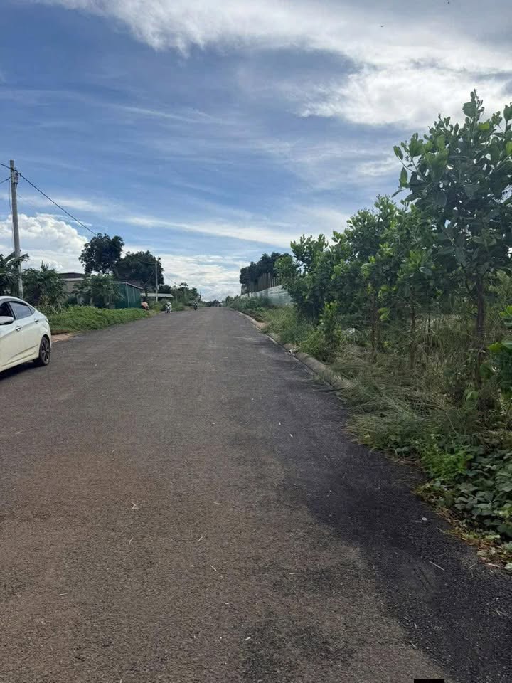 Đất mặt tiền đường Trần Huy Liệu 500m² giá 2.55 tỷ - Cơ hội đầu tư hấp dẫn!