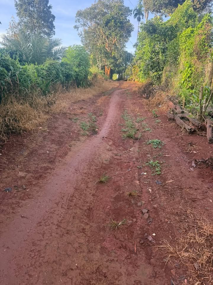 FrontHouse Buôn Hồ 35m² giá 3.5 tỷ - Mặt tiền đường Lý Tự Trọng