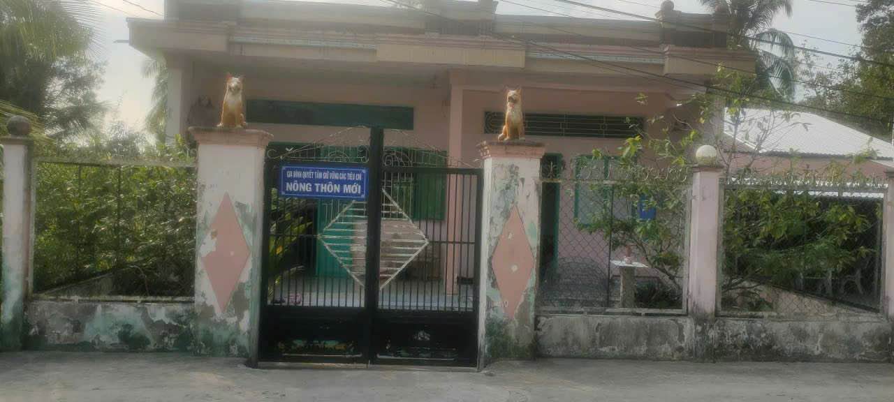 Nhà nông thôn rộng 300m² tại Vị Bình, Hậu Giang - Bán gấp chỉ 600 triệu!