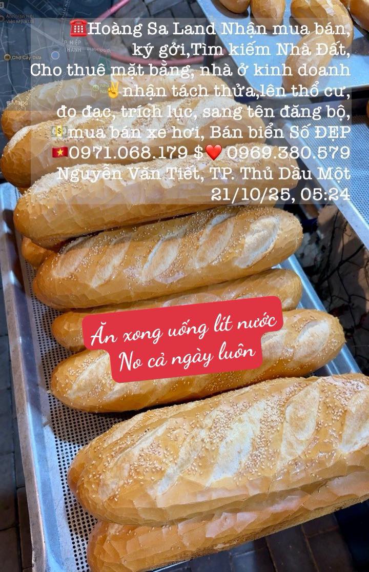 Đất nền Định An, Dầu Tiếng 200m² giá 400 triệu - Đầu tư sinh lời ngay!