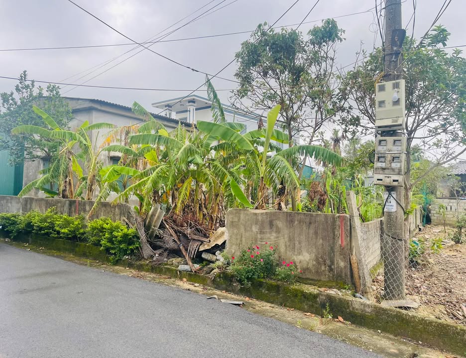 Đất thổ cư Thôn Kinh Nam, Thạch Hưng, 137,7m² giá 2 tỷ - Đường thông thoáng, vị trí đẹp!