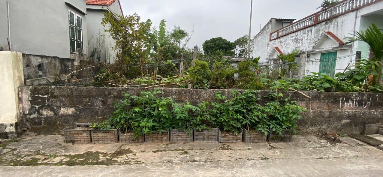 Đất nền thôn 5, xã Vũ Hoà, Kiến Xương 172m² giá 700 triệu - Cơ hội đầu tư tuyệt vời!