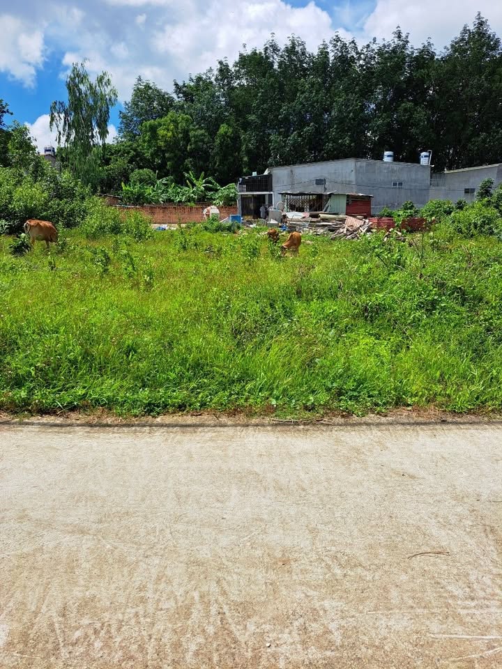 Đất thổ cư thôn 1 phường Đăk Cấm 196m² - Đường bê tông, hướng Bắc